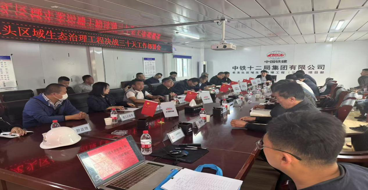 老龙头区域生态治理工E决战三十天工作部v会暨城运支部“党员突击队?成立授旗仪式利举行